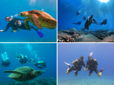Scuba Diving