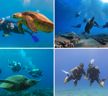Scuba Diving